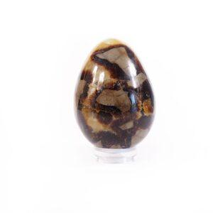 HUEVOS SEPTARIA (40-60MM)