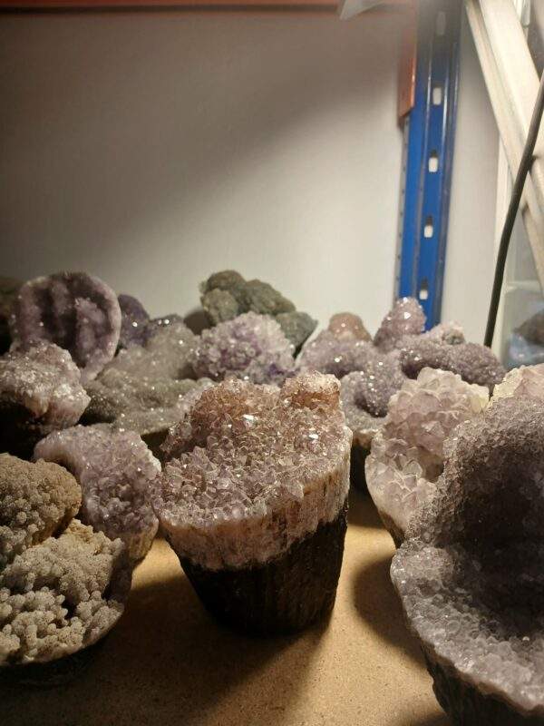 AMATISTA FORMACION CUPCAKE