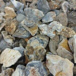 CALCEDONIA FLOR