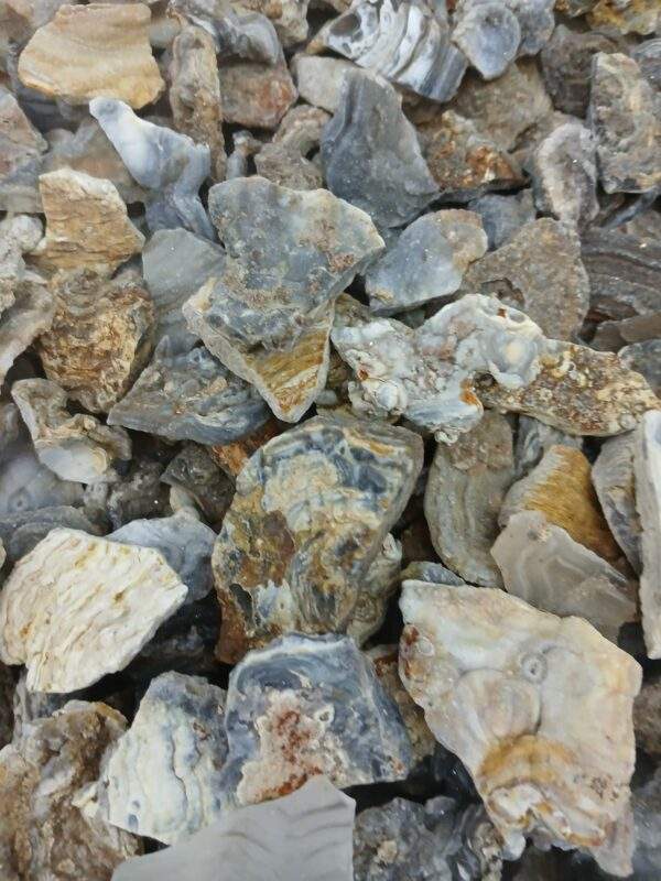 CALCEDONIA FLOR