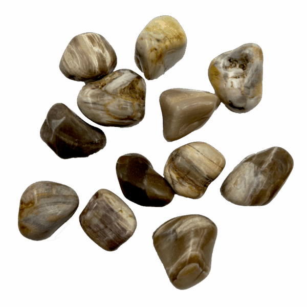 Xilopalo Rodado