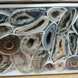 FLAT GEODA AGATA