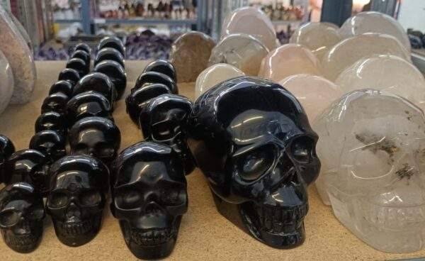 CALAVERA VARIOS MINERALES - Imagen 3