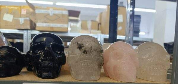 CALAVERA VARIOS MINERALES - Imagen 2