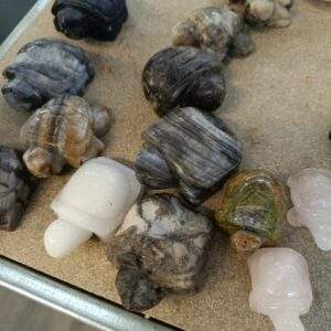 TORTUGAS MINERALES MIX