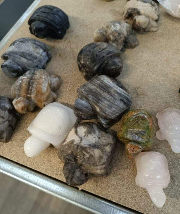 TORTUGAS MINERALES MIX