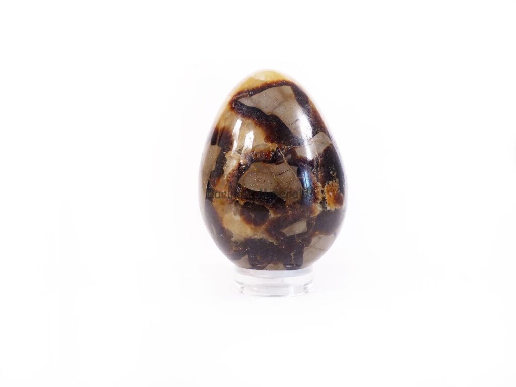 Huevos Septaria (40-60mm)