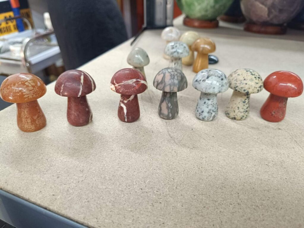 Setas Minerales Mix
