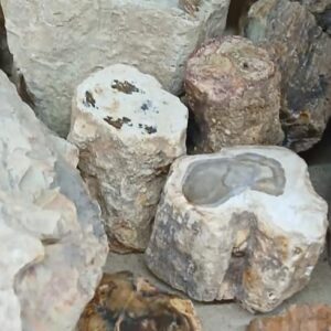 Xilópalo Plancha Una Caraa Pulida 15cm