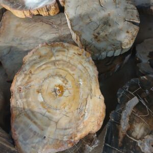 Xilópalo Plancha Una Caraa Pulida 45cm