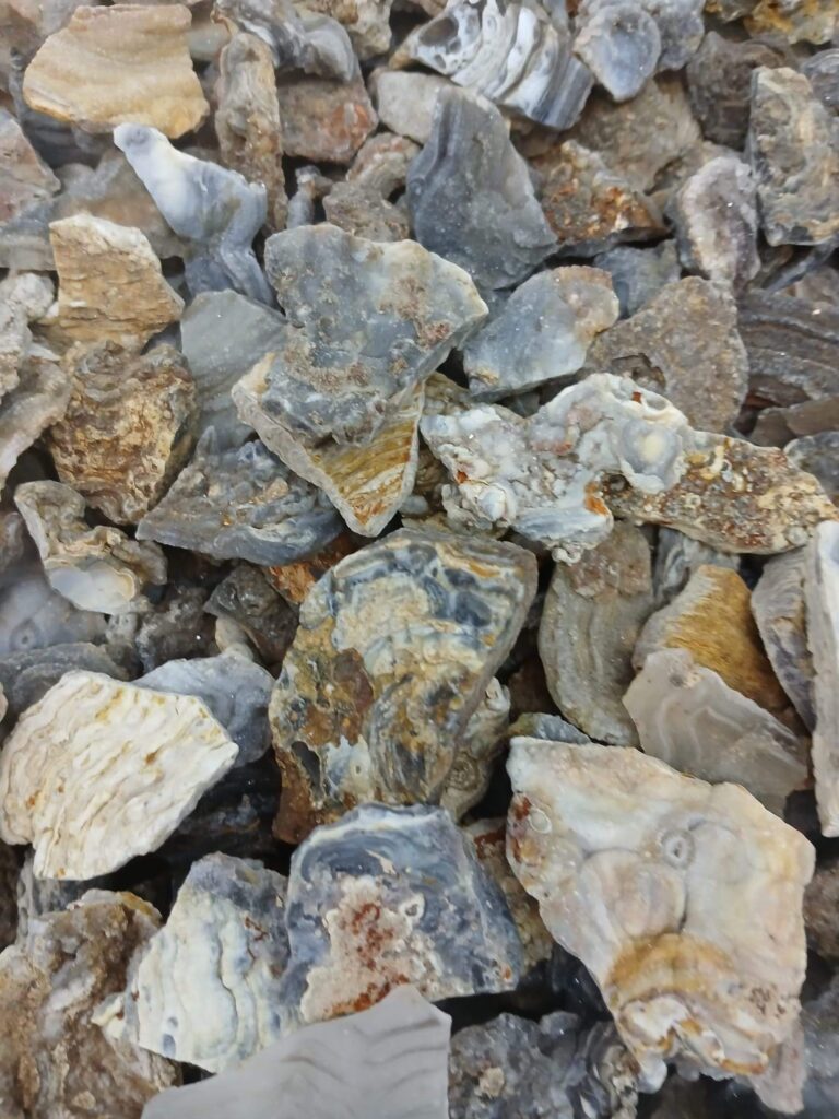 Calcedonia Flor
