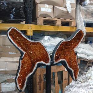 Amatista Alas Mariposa Qa