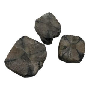 Andalucita Quiastolita