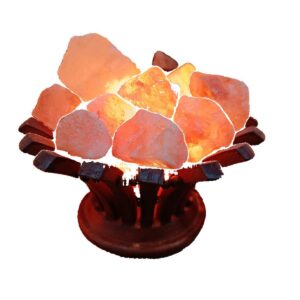 Lampara de Sal Cuenco conSal en Bruto