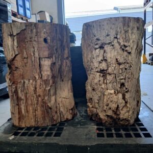 Xilópalo Pedestal (40cm Diametro 50cm Altura)