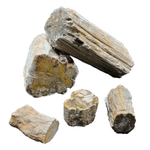 Xilópalo Tronquitos Una Cara Pulida